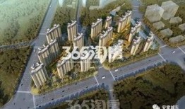 城东某楼盘爆料视频最新,爆款楼盘揭秘，品质生活即将启幕！