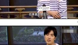 贺军翔最新爆料,揭秘娱乐圈不为人知的秘密