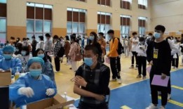 文山竞技场爆料最新消息,独家揭秘赛场风云变幻