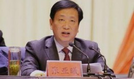 武汉姚军最新爆料消息,揭秘背后惊人真相！