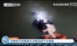 最新偷鱼爆料视频大全,揭秘水下捕鱼奇观与技巧揭秘